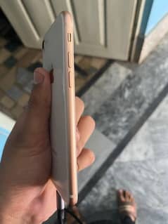 iphone 8 64 gb pta approved