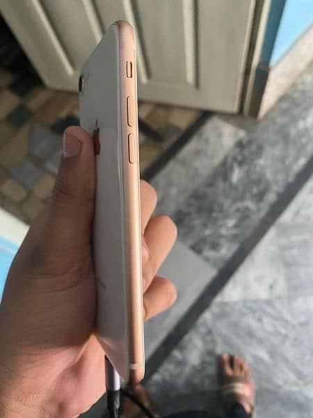 iphone 8 64 gb pta approved 0