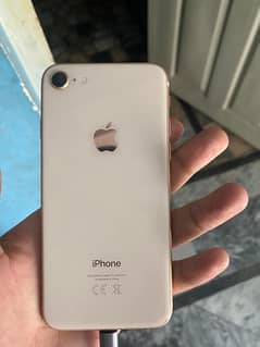 iphone 8 64 gb pta approved