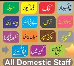 Domesticstaf baby caretaker maids Nurs Driver Cook Whatsap 03001478687