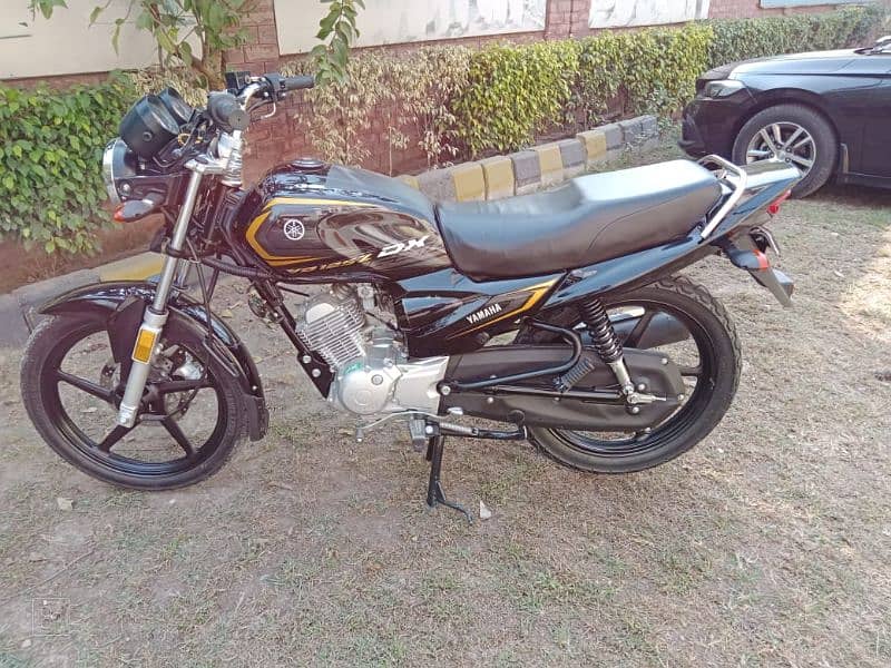 Yamaha YB 125Z DX 2024 model for sale 1