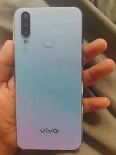 vivo