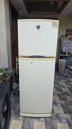 Singer Refrigerator Double Door Working Condition For Sale