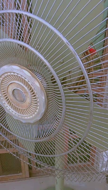 Gently used/brand new floor fan for sale. powerful and energy-Efficient 1