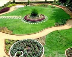 land scaping