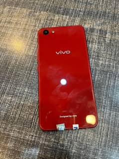 Vivo