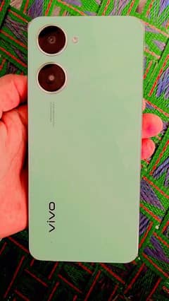 Vivo