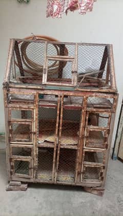 wooden cage for sale