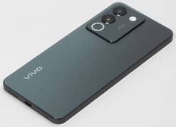 vivo