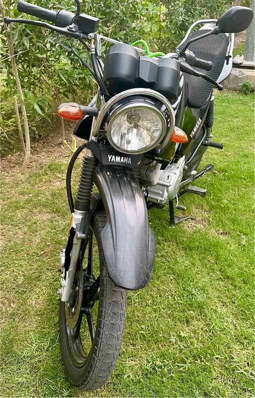 Yamaha YBR125G (2023) - For Sale 1