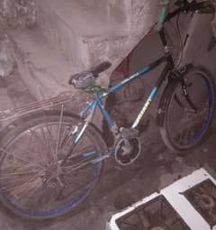 bicycle for sale