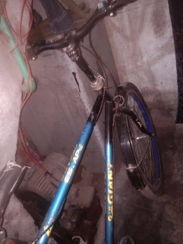 bicycle for sale 4