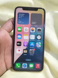 iPhone Xs (256 GB)