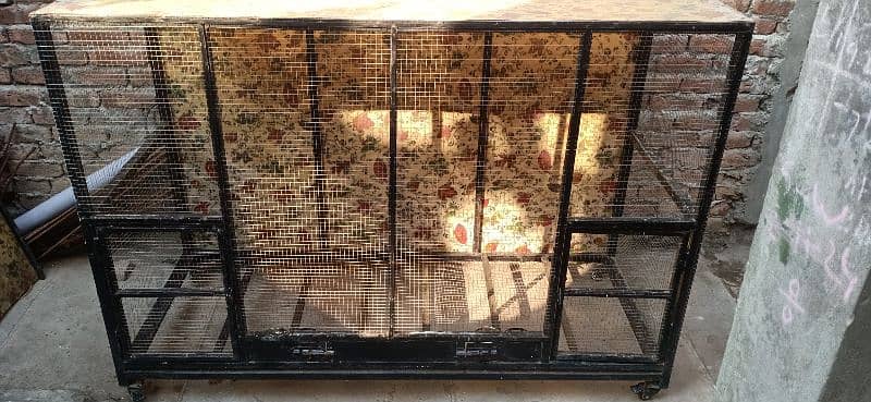 Iron Cage for parrots hens and other birds 2