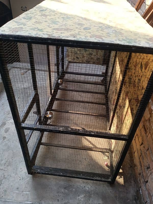 Iron Cage for parrots hens and other birds 3