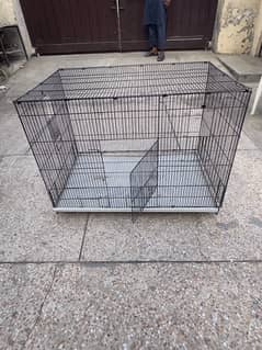 Cages for cats and parrots