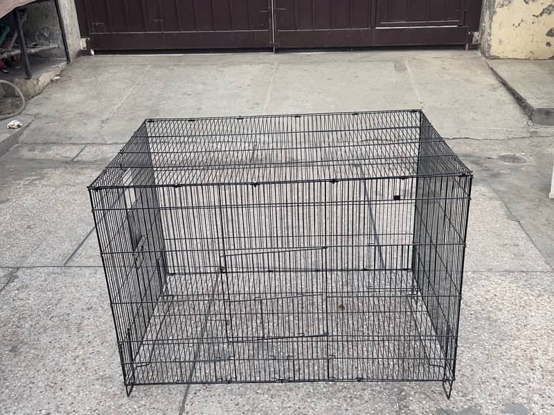 Cages for cats and parrots 1