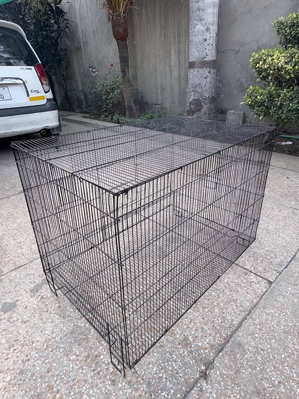 Cages for cats and parrots 2