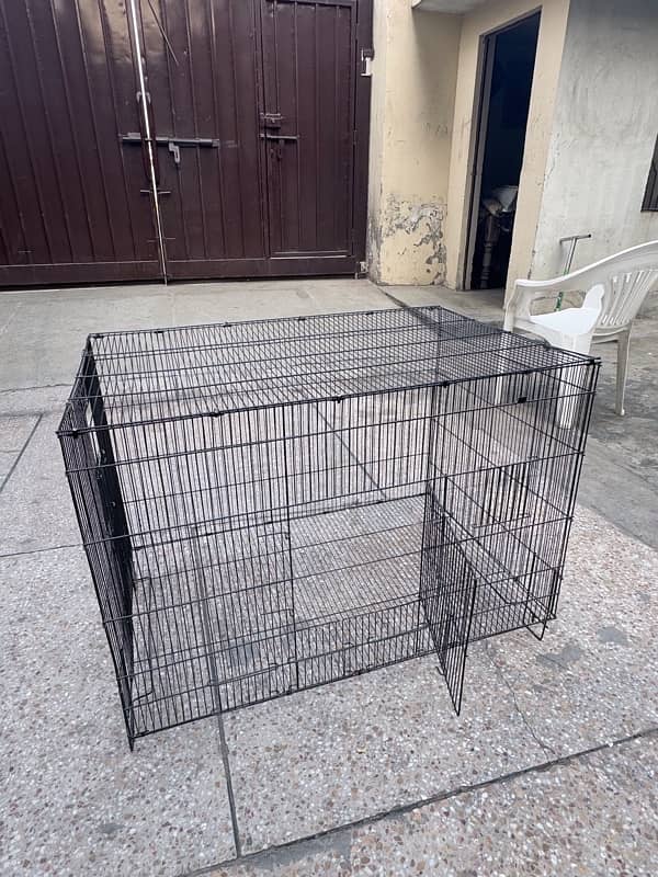 Cages for cats and parrots 3