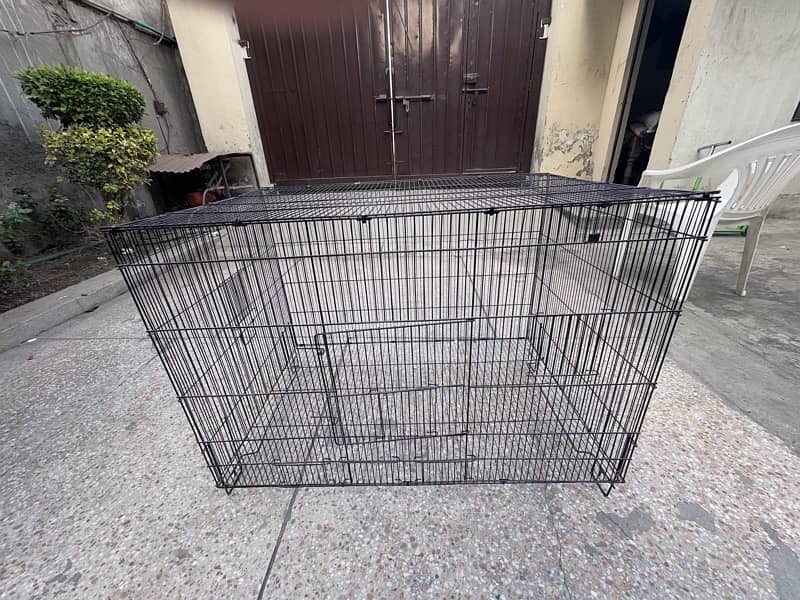 Cages for cats and parrots 4