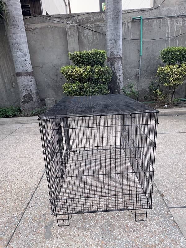 Cages for cats and parrots 5