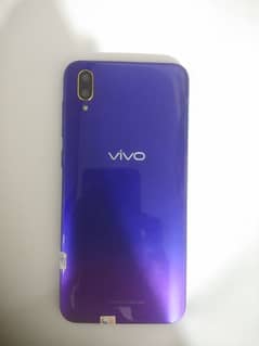 VIVO