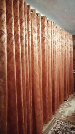 copper orange curtains