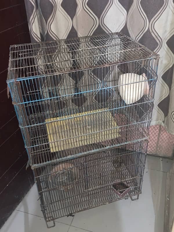 Wide Double Cage for birds 0