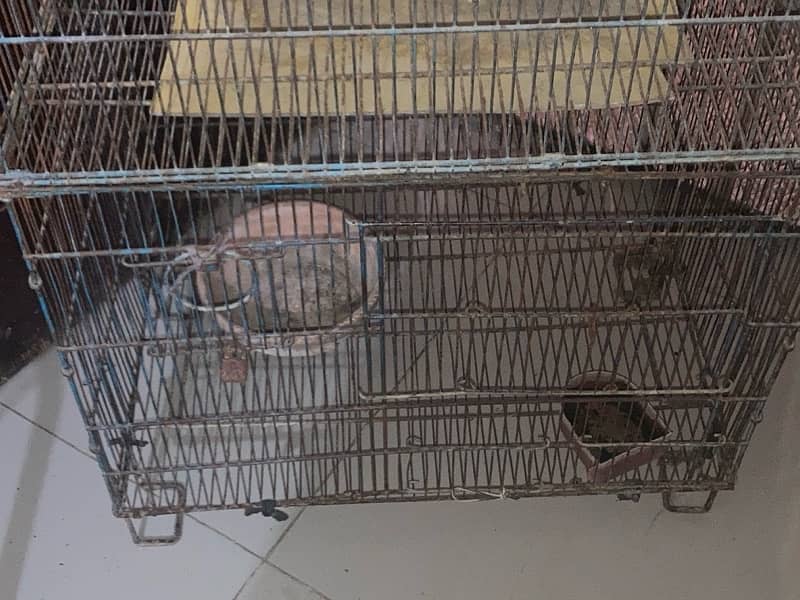 Wide Double Cage for birds 2