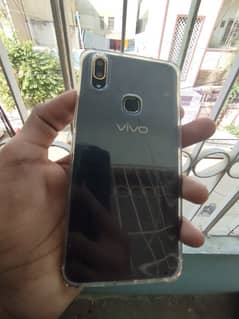 vivo