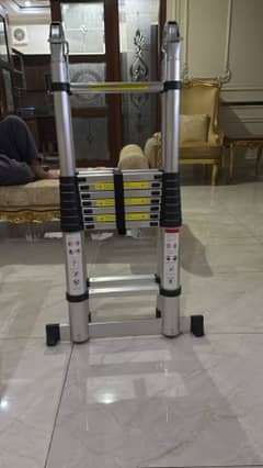 multipurpose folding ladder 2 in 1