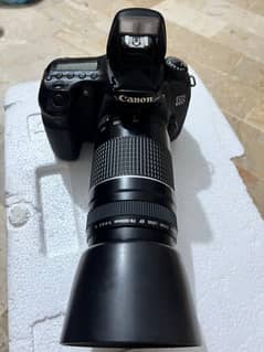 Canon 60d With 75-300 Canon Lens