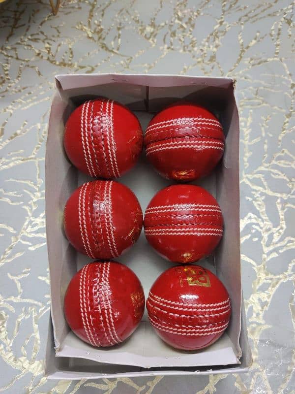 leather hard ball for cricket 2