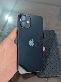 Iphone 12(in warranty)