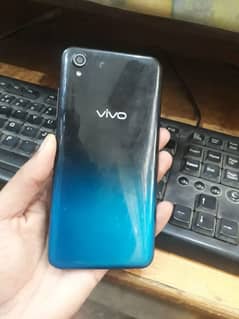 vivo1384