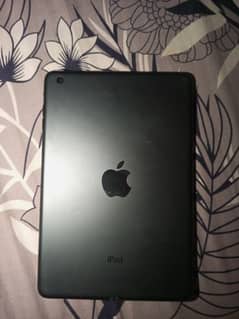 ipad mini