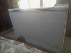 Haier Freezer