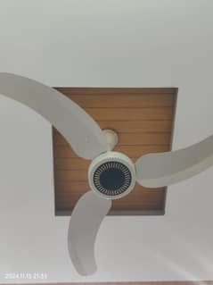 ceiling fan for sale