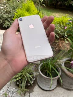 iphone 8 Pta Approved 64gb