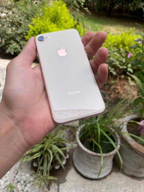 iphone 8 Pta Approved 64gb 0