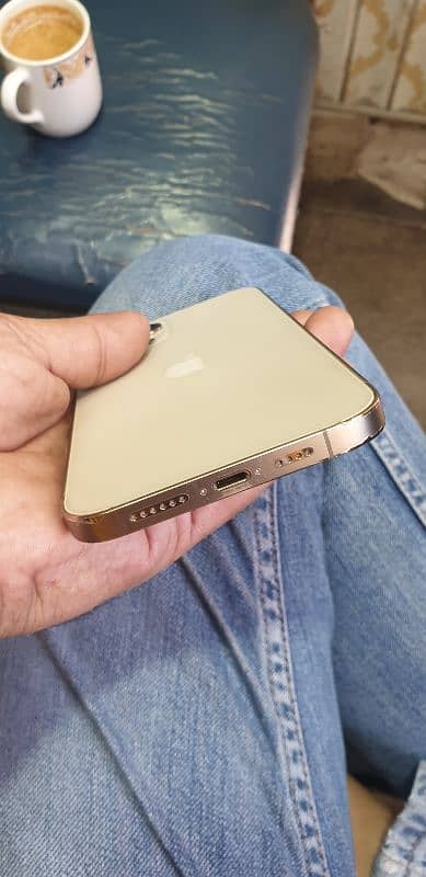 iphone 12 pro max gold color 1