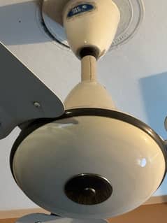 4 Ceiling Fan Like New