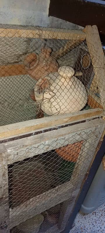 Large size cage with accessories in very cheap price 2