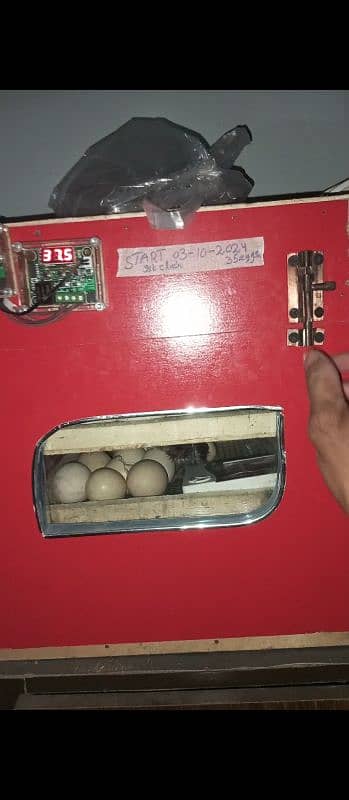 AC DC incubator 50 eggs manual. 1