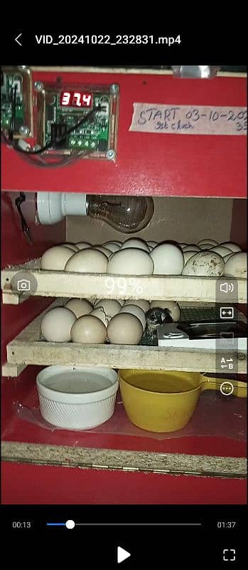 AC DC incubator 50 eggs manual. 4