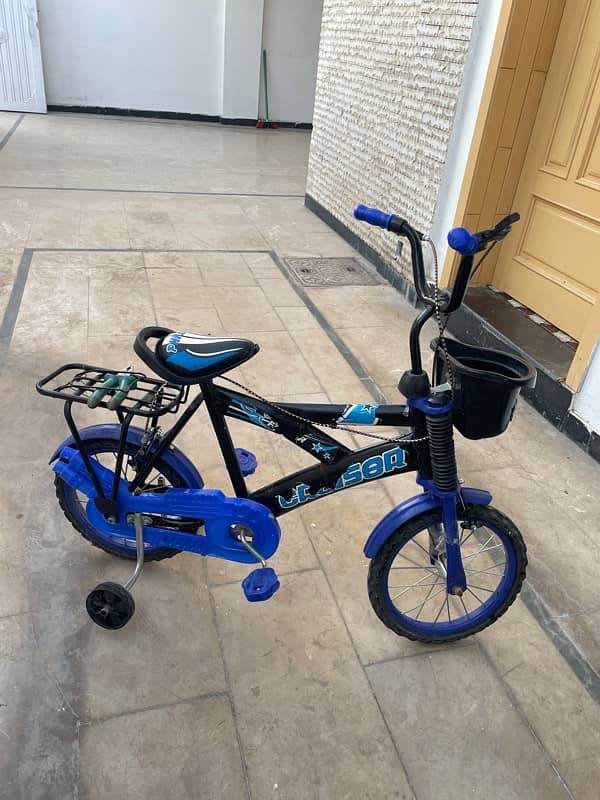 kids bicycle 3