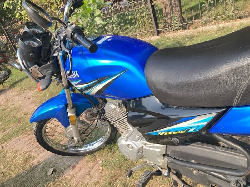 YAMAHA YB 125 Z 2019 10