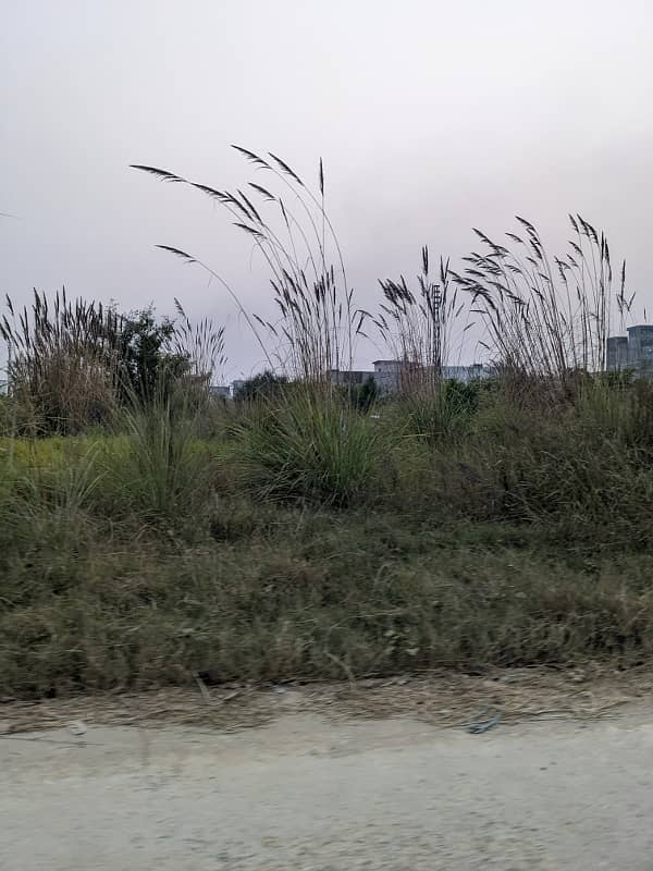 Commercial Plot for sale Zamar Valley Islamabad 0