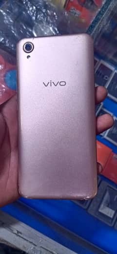 Vivo