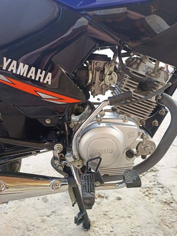 YAMAHA YBR-125 6